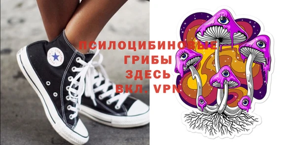 ГАЛЛЮЦИНОГЕННЫЕ ГРИБЫ Абдулино