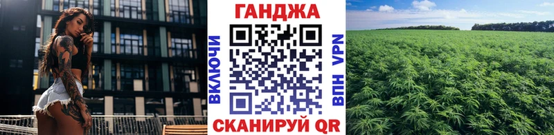 МАРИХУАНА план Болохово